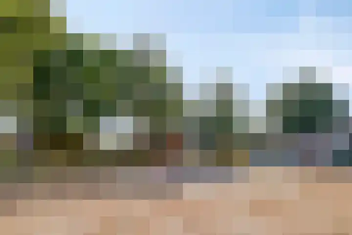 Peelhof 123 Helmond thumbnail 34