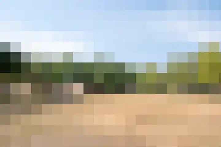 Peelhof 123 Helmond thumbnail 35