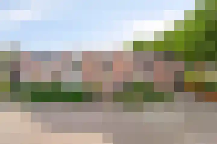 Peelhof 123 Helmond thumbnail 9
