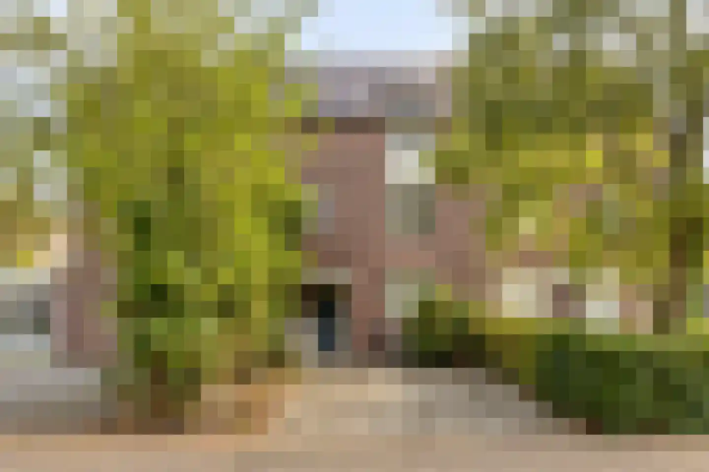 Peelhof 178 in Helmond
