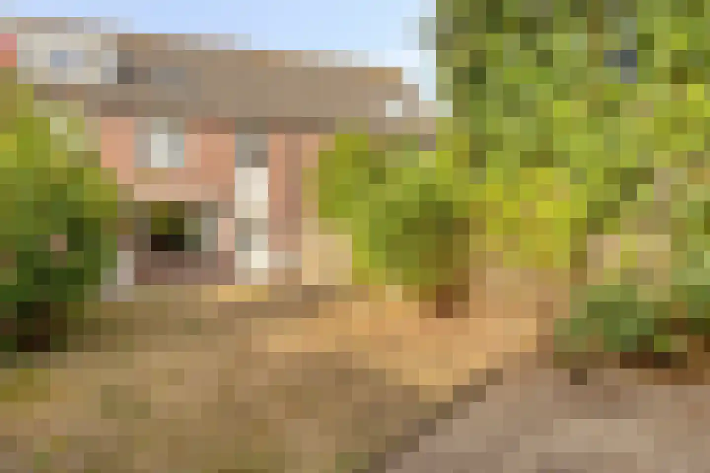 Peelhof 178 Helmond thumbnail 35