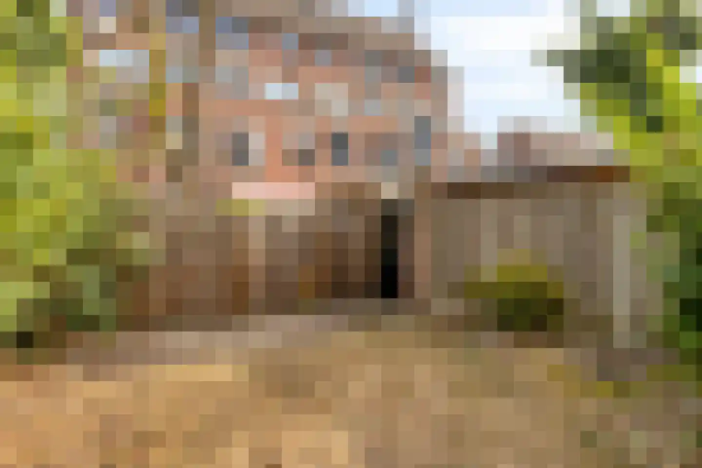 Peelhof 178 Helmond thumbnail 37