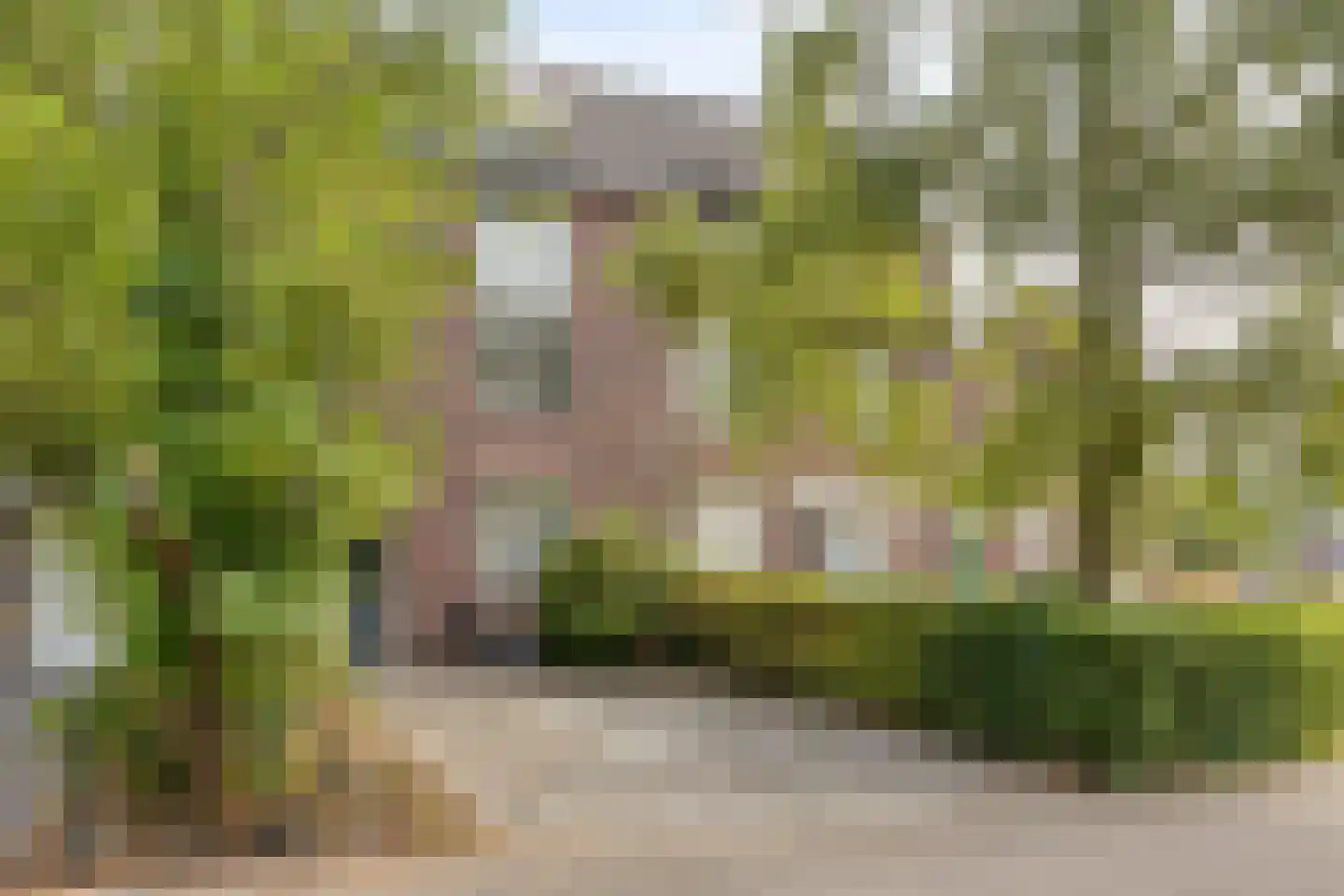 Peelhof 178 Helmond thumbnail 5