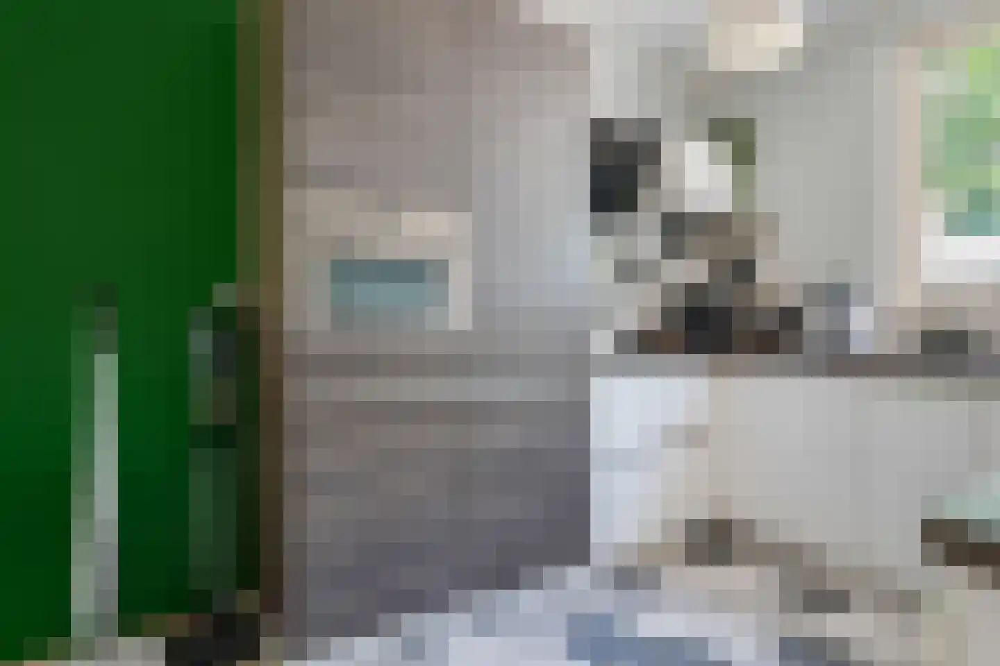 Peelhof 65 Helmond thumbnail 13