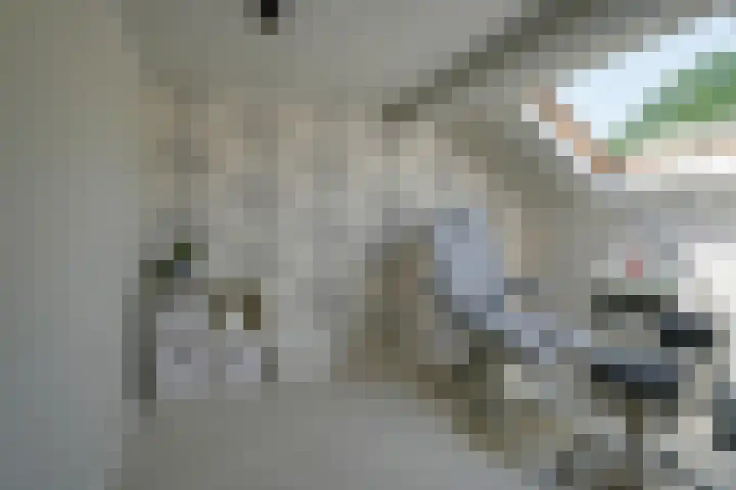 Peelhof 65 Helmond thumbnail 27