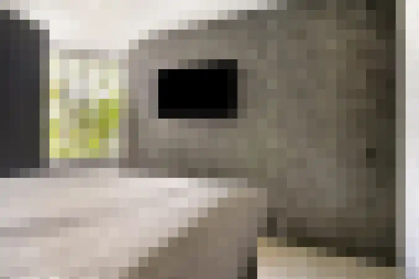 Peelhof 72 Helmond thumbnail 23