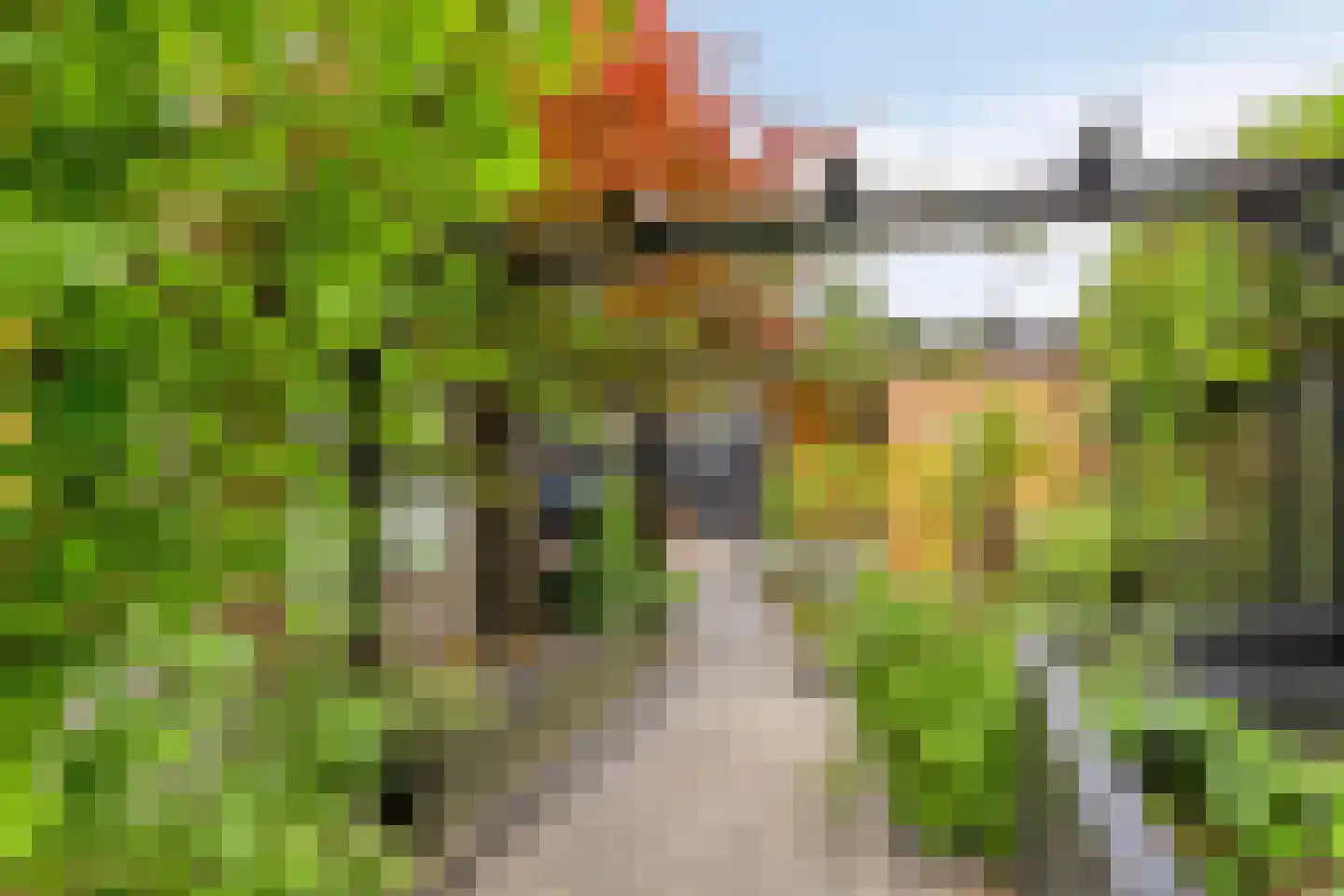 Peelhof 72 Helmond thumbnail 30