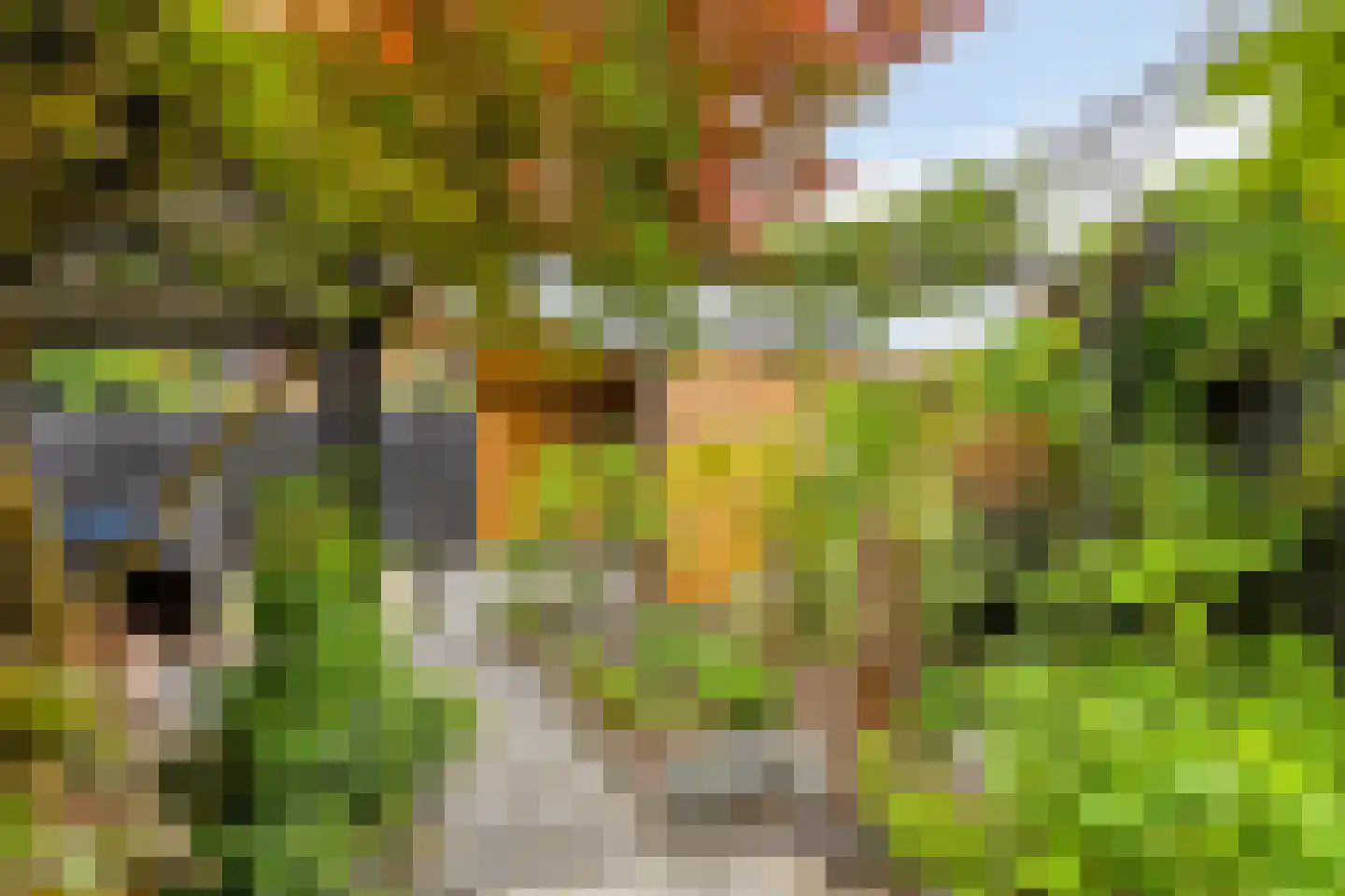 Peelhof 72 Helmond thumbnail 31