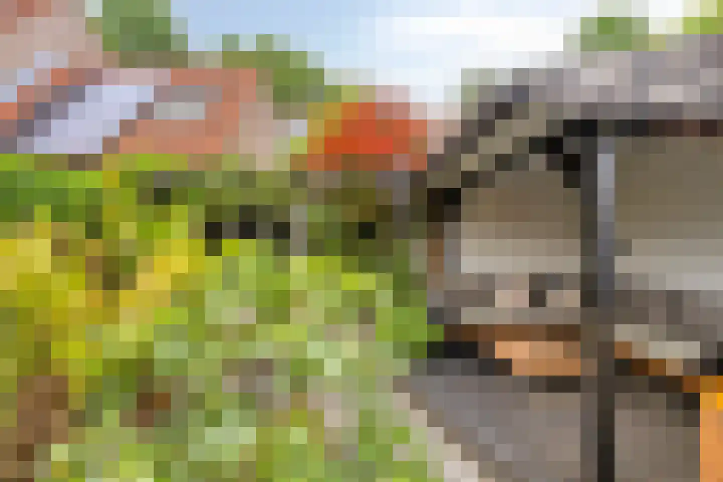 Peelhof 72 Helmond thumbnail 35