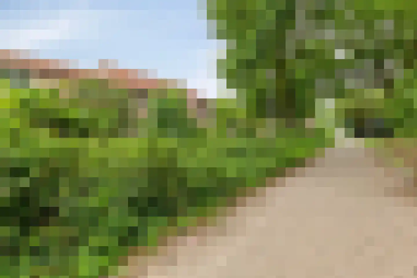 Peelhof 72 Helmond thumbnail 37