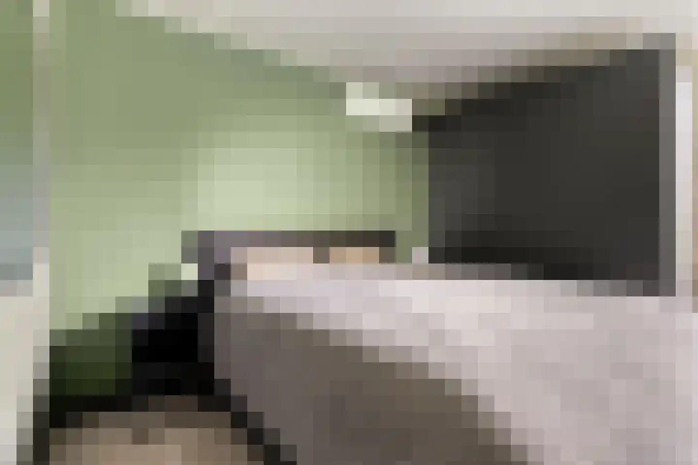 Peelhof 72 Helmond thumbnail 4