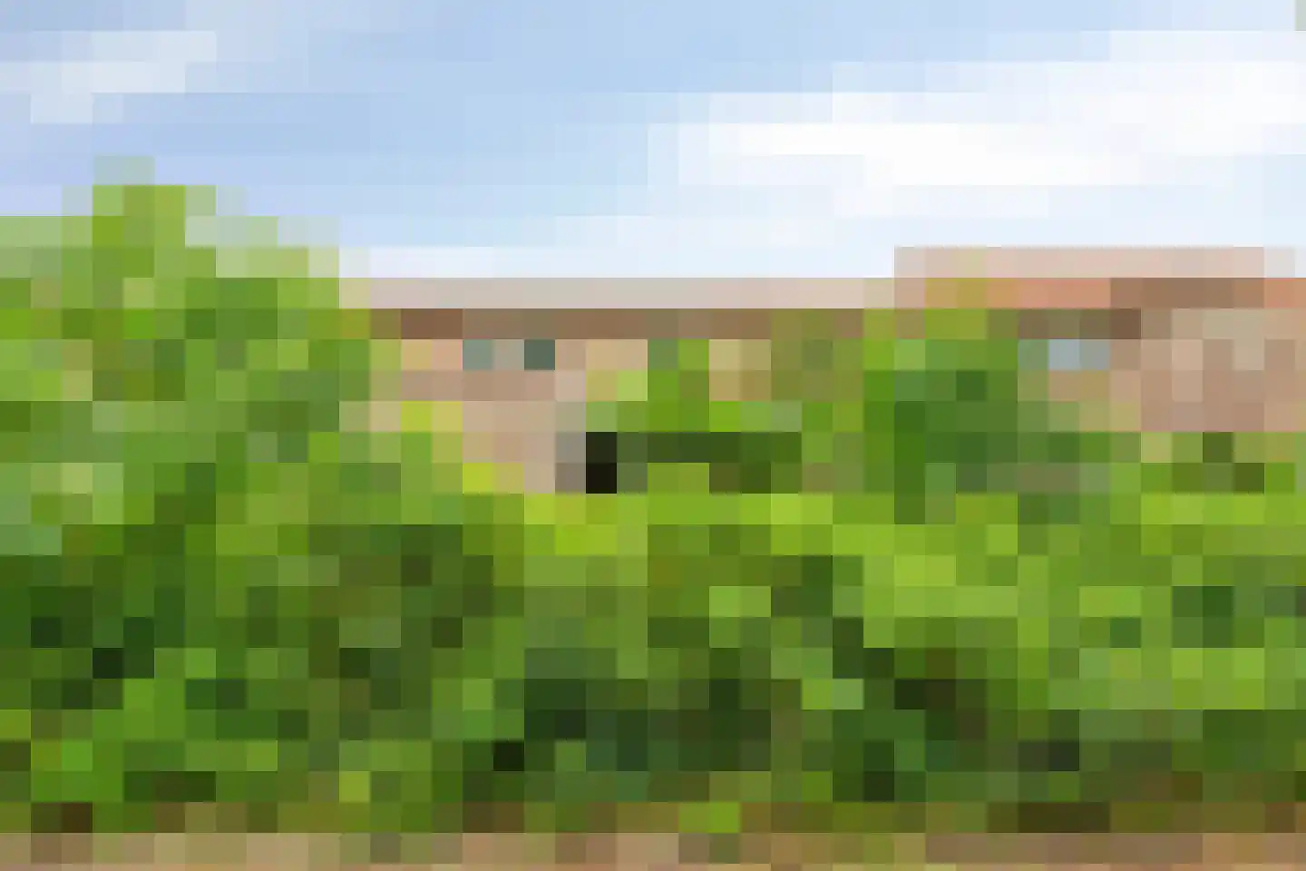 Peelhof 72 Helmond thumbnail 6