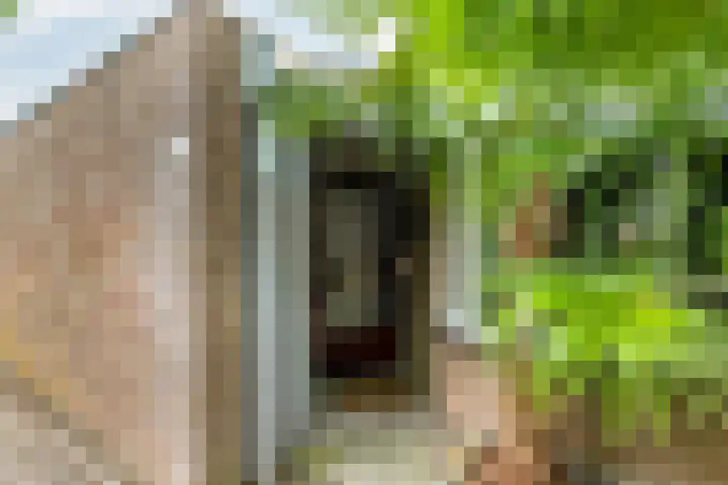 Peelhof 72 Helmond thumbnail 7
