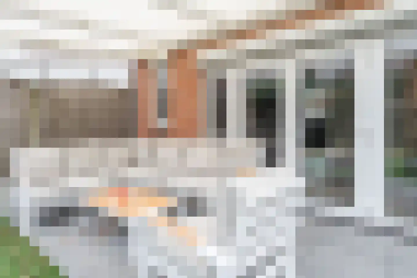 Peelhof 97 Helmond thumbnail 34