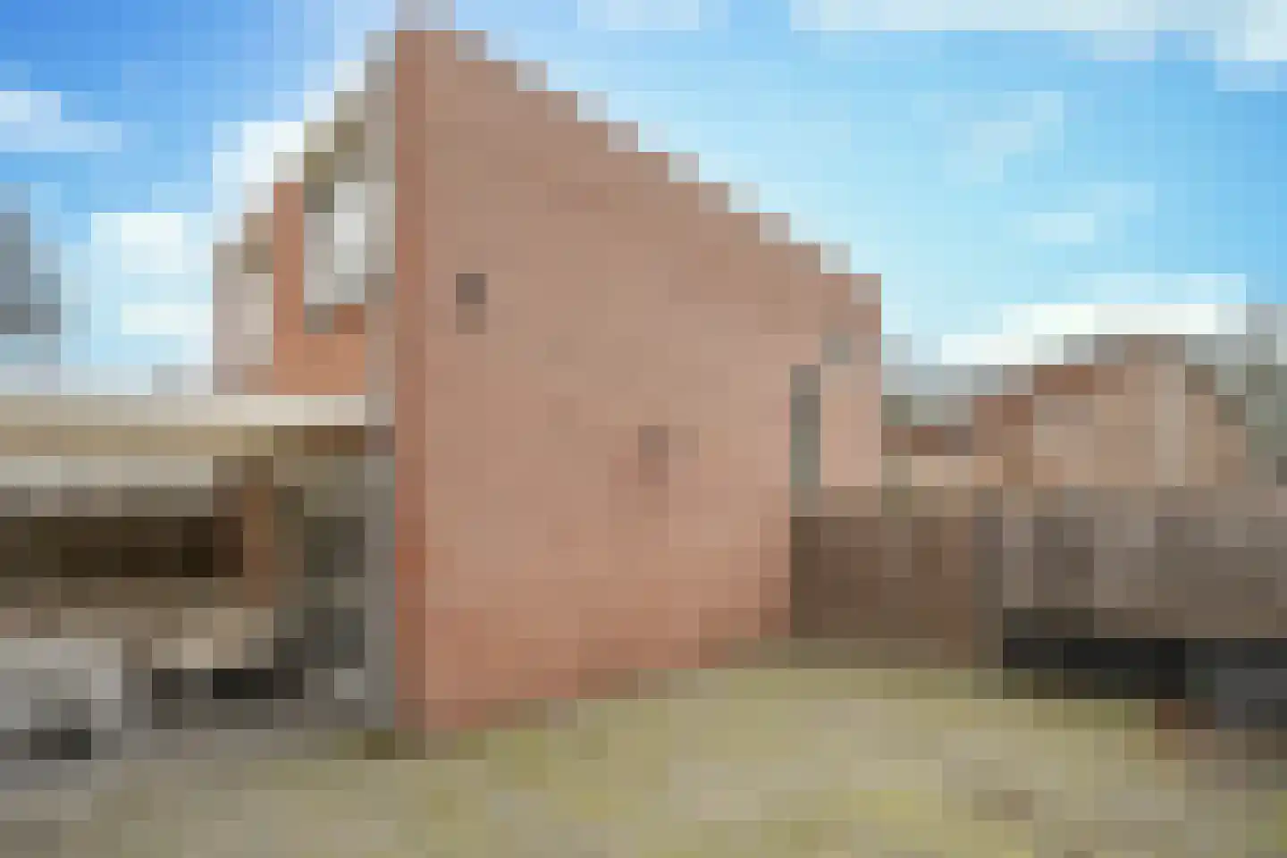 Peelhof 97 Helmond thumbnail 37