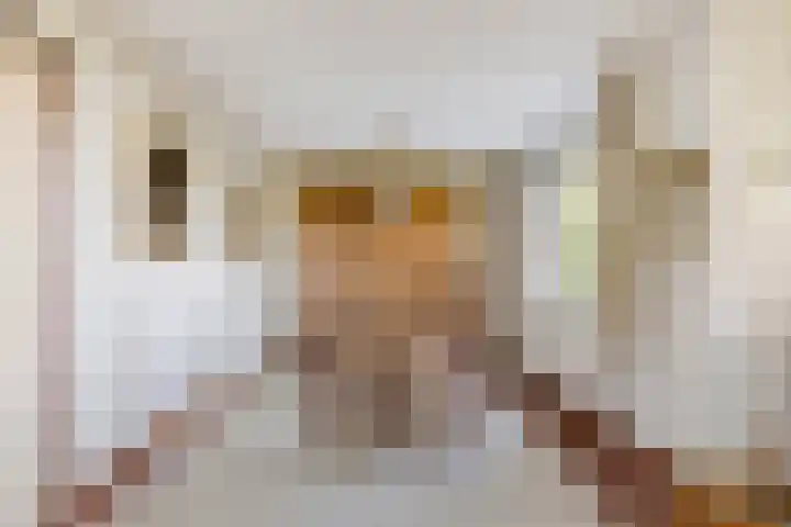 Peelkanaalweg 1 Westerbeek thumbnail 10