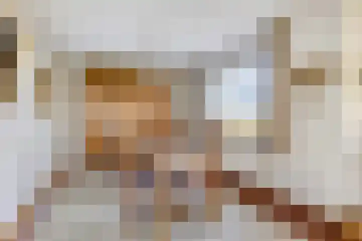 Peelkanaalweg 1 Westerbeek thumbnail 11