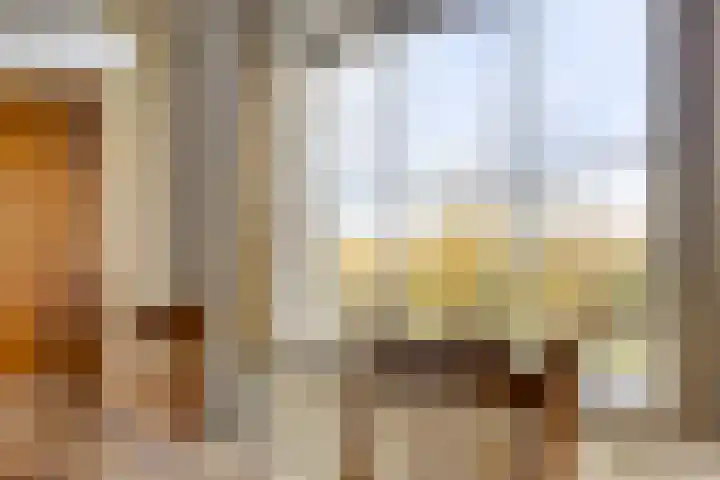 Peelkanaalweg 1 Westerbeek thumbnail 12