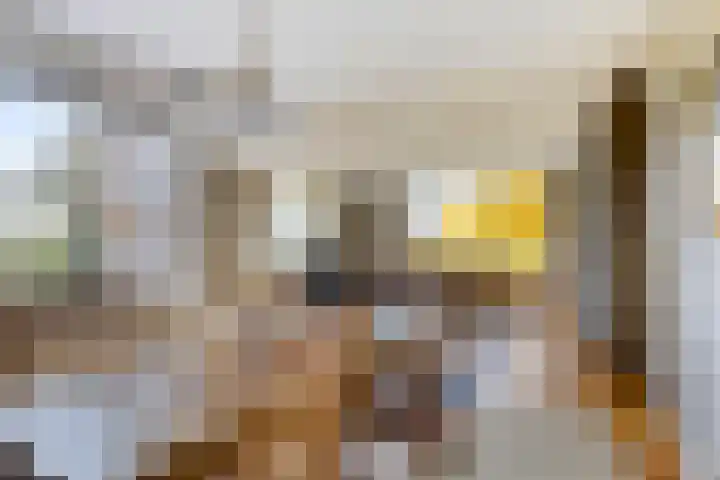 Peelkanaalweg 1 Westerbeek thumbnail 13