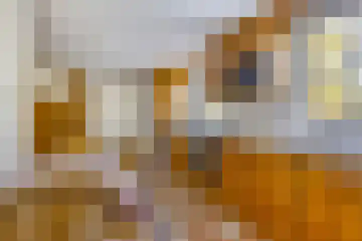 Peelkanaalweg 1 Westerbeek thumbnail 14