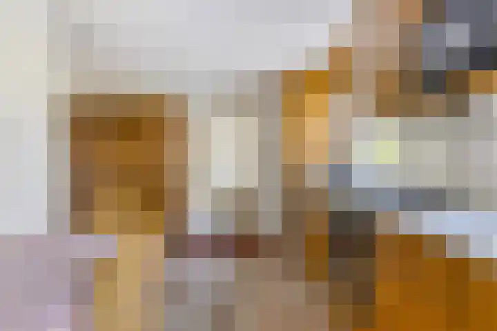 Peelkanaalweg 1 Westerbeek thumbnail 15
