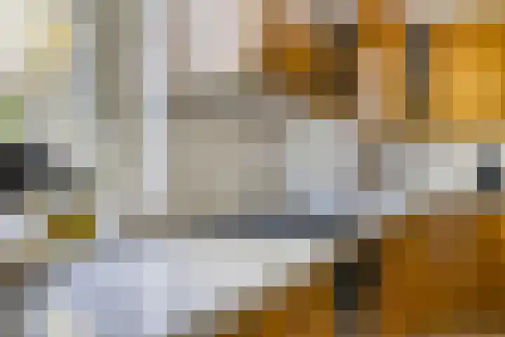 Peelkanaalweg 1 Westerbeek thumbnail 17