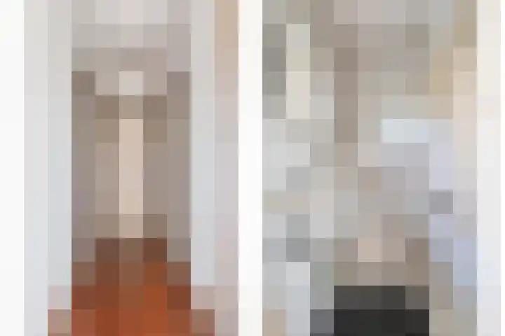 Peelkanaalweg 1 Westerbeek thumbnail 20