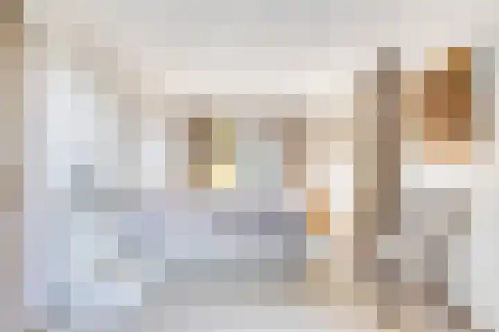Peelkanaalweg 1 Westerbeek thumbnail 21