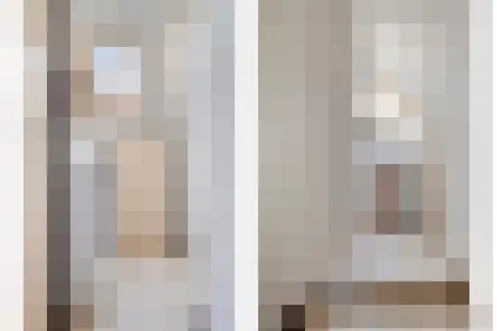 Peelkanaalweg 1 Westerbeek thumbnail 27