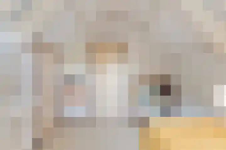 Peelkanaalweg 1 Westerbeek thumbnail 29