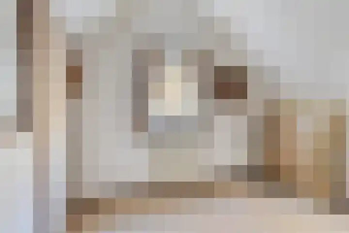 Peelkanaalweg 1 Westerbeek thumbnail 30