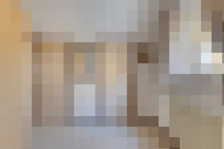 Peelkanaalweg 1 Westerbeek thumbnail 31