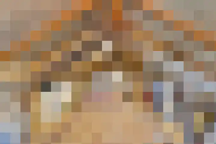 Peelkanaalweg 1 Westerbeek thumbnail 32