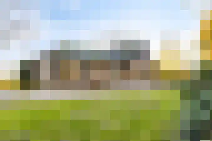 Peelkanaalweg 1 Westerbeek thumbnail 33