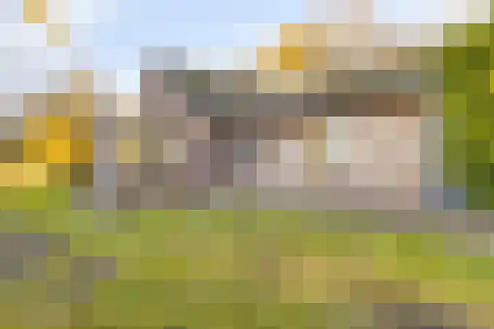 Peelkanaalweg 1 Westerbeek thumbnail 34