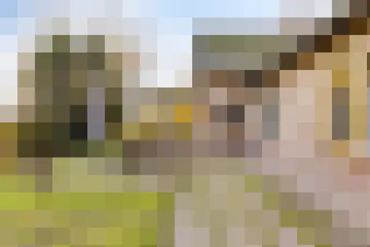 Peelkanaalweg 1 Westerbeek thumbnail 38