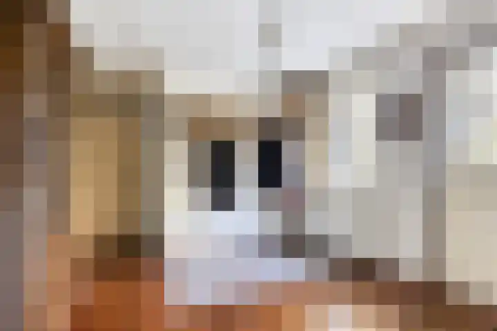 Peelkanaalweg 1 Westerbeek thumbnail 4