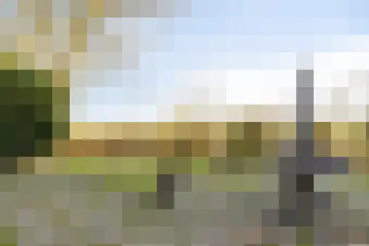 Peelkanaalweg 1 Westerbeek thumbnail 40