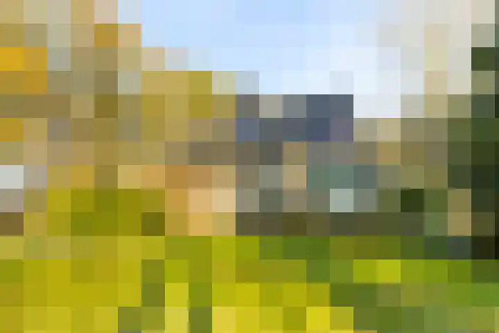 Peelkanaalweg 1 Westerbeek thumbnail 41