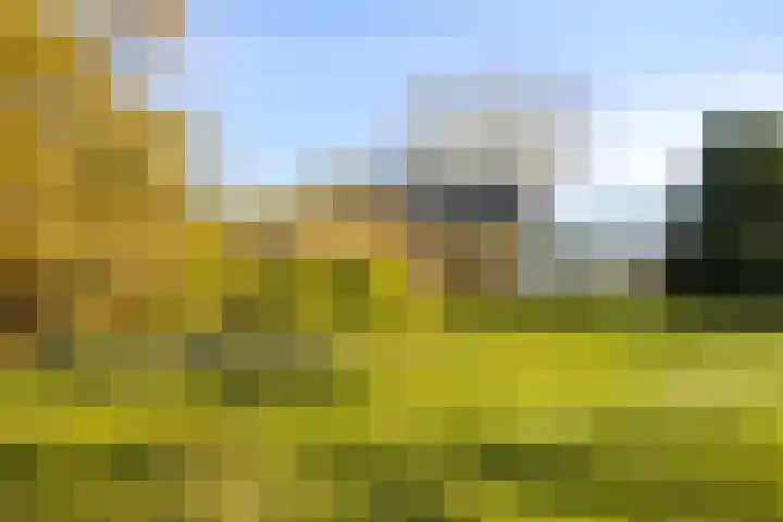 Peelkanaalweg 1 Westerbeek thumbnail 42