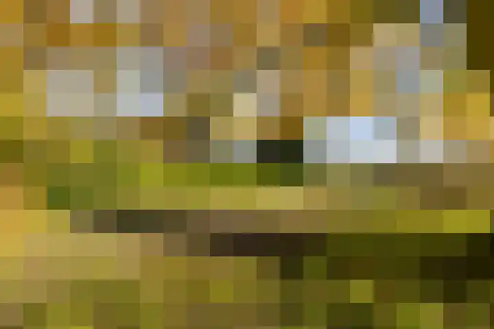 Peelkanaalweg 1 Westerbeek thumbnail 43