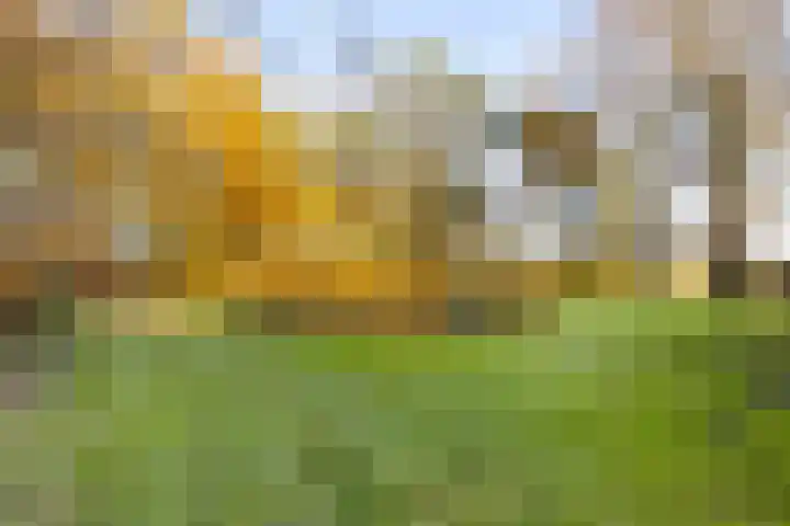 Peelkanaalweg 1 Westerbeek thumbnail 44