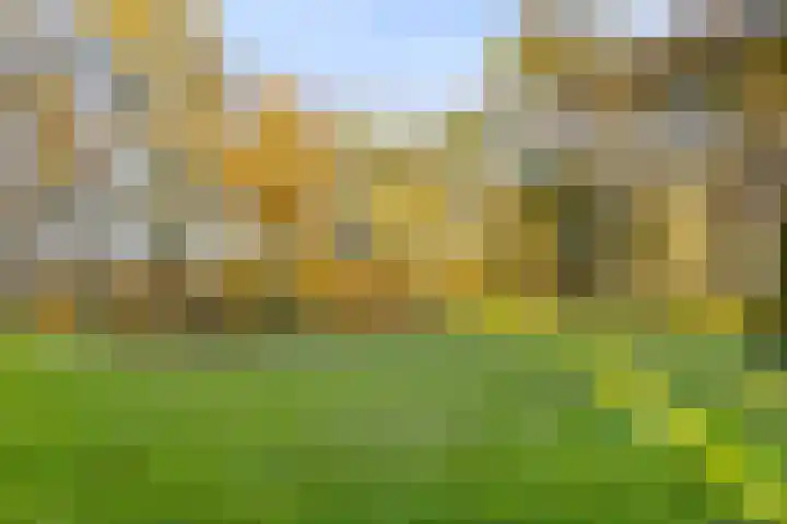 Peelkanaalweg 1 Westerbeek thumbnail 45