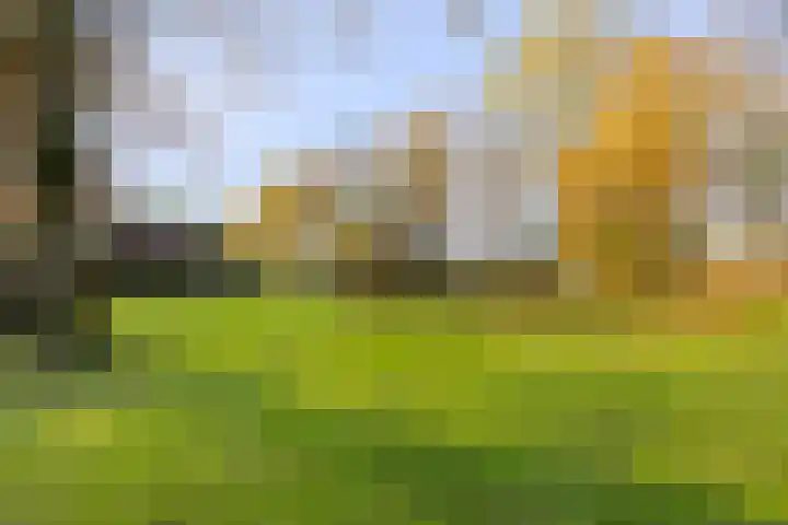 Peelkanaalweg 1 Westerbeek thumbnail 46
