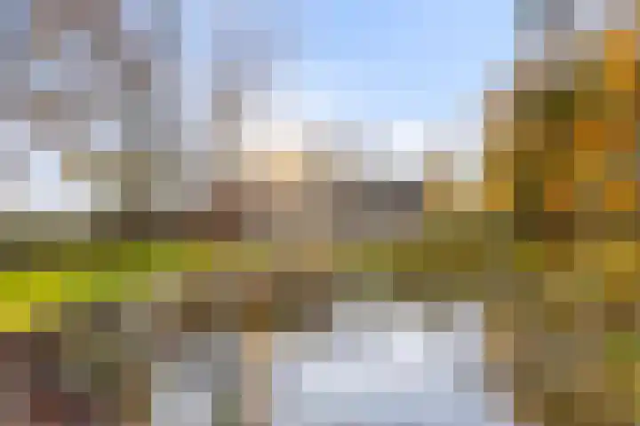 Peelkanaalweg 1 Westerbeek thumbnail 48
