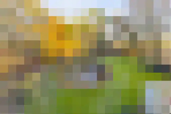 Peelkanaalweg 1 Westerbeek thumbnail 49