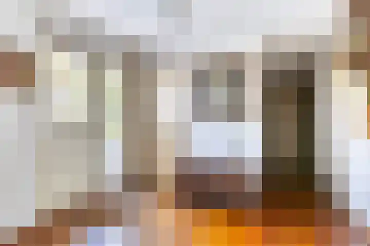 Peelkanaalweg 1 Westerbeek thumbnail 5
