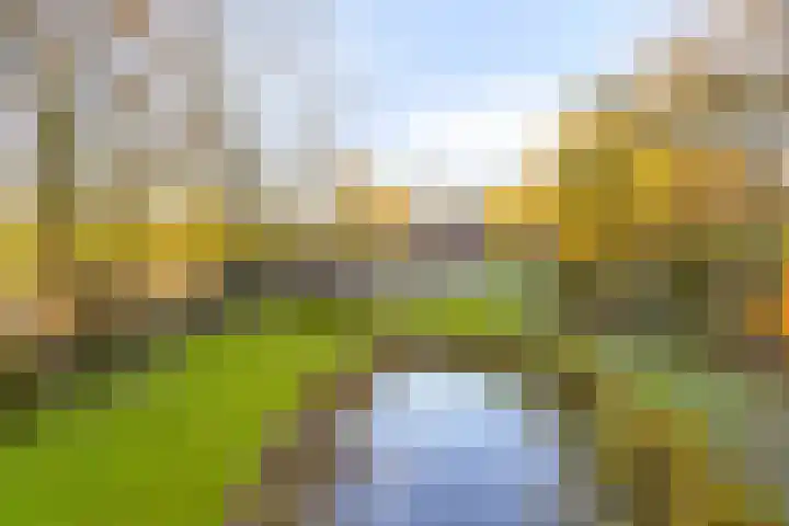 Peelkanaalweg 1 Westerbeek thumbnail 50