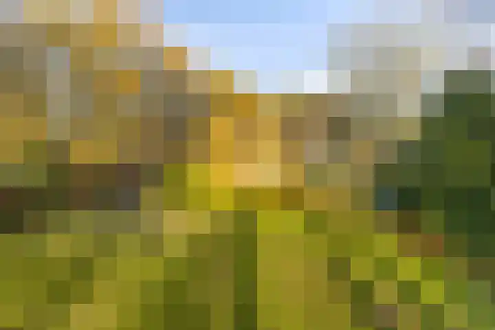 Peelkanaalweg 1 Westerbeek thumbnail 53