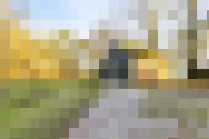 Peelkanaalweg 1 Westerbeek thumbnail 54